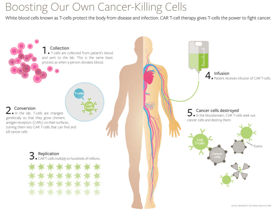 national cancer institute mesothelioma